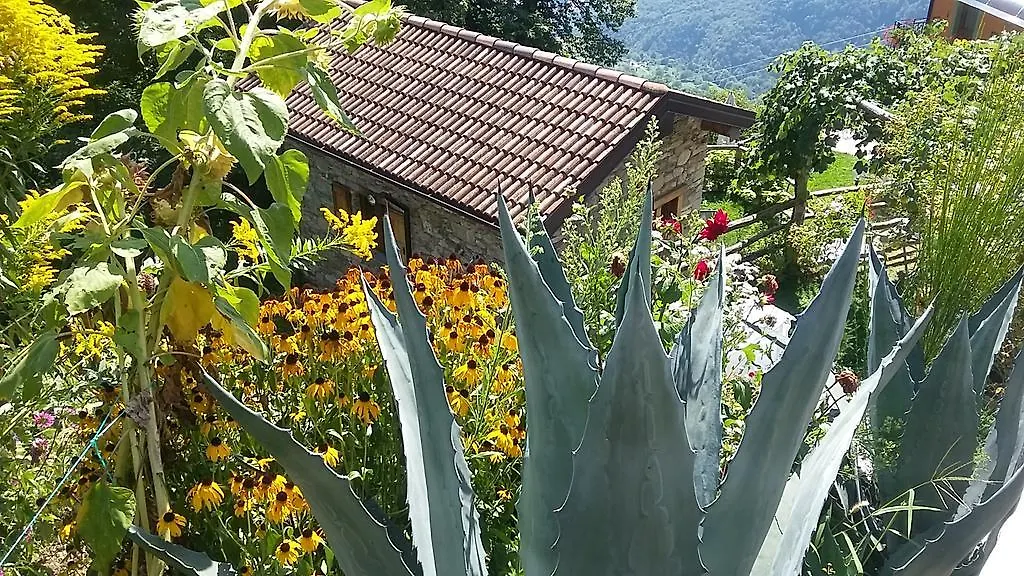 Agriturismo Zertin Gravedona Farm stay